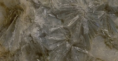 Пирофиллит-каолинитовые руды